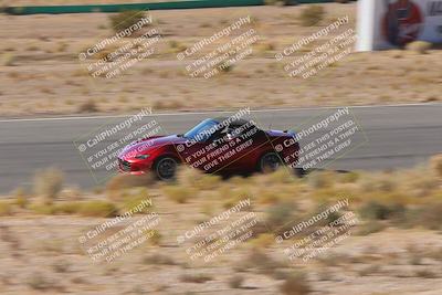 media/Oct-25-2025-West Coast Racing (Sat) [[9fdcbcd09c]]/Novice group/Turn 4/